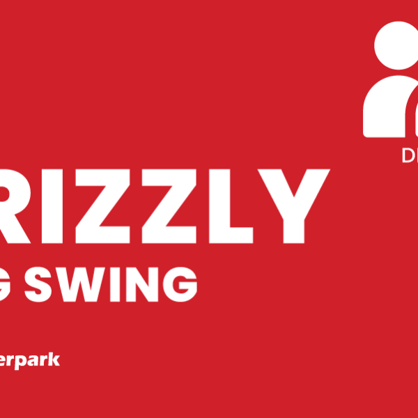 Grizzly + Big Swing bilet grupowy