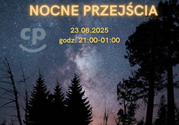 Nocne przejścia w Poznaniu